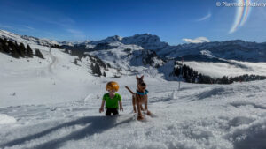 Photo Playmobil - Snowcat - PlaymobilActivity